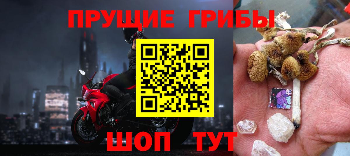 Псилоцибиновые грибы GOLDEN TEACHER Кашира
